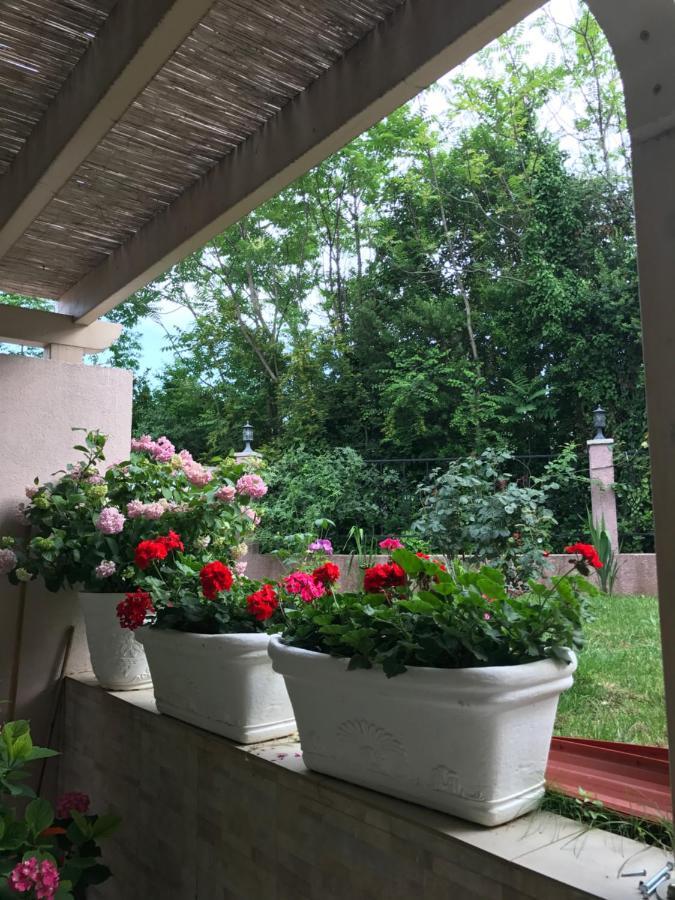 Villa Alla Bed And Breakfast Herceg Novi Zewnętrze zdjęcie