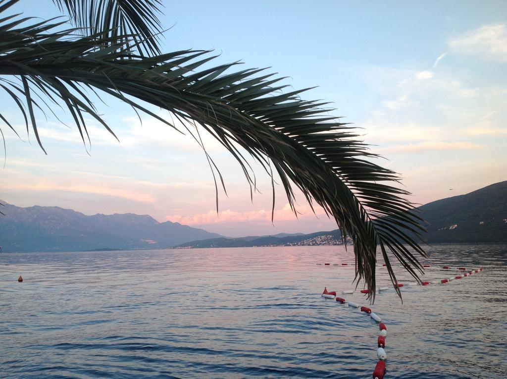 Villa Alla Bed And Breakfast Herceg Novi Zewnętrze zdjęcie